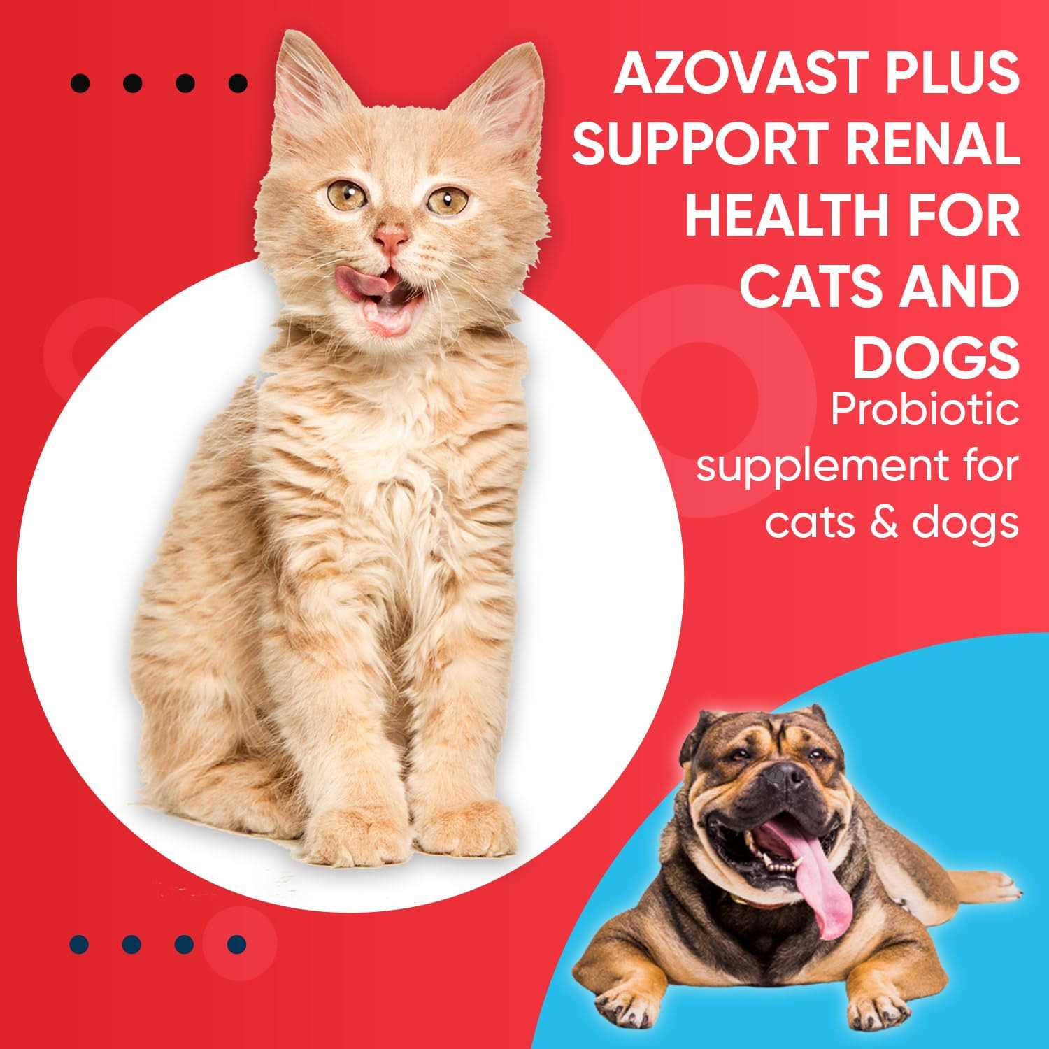 Pet Health Pharma Azovast Plus Kidney Health Supplement for Dogs & Cats - Nail Gallerys