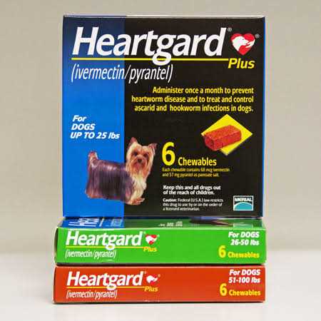 Heartgard Plus Chewables for Dogs - Nail Gallerys