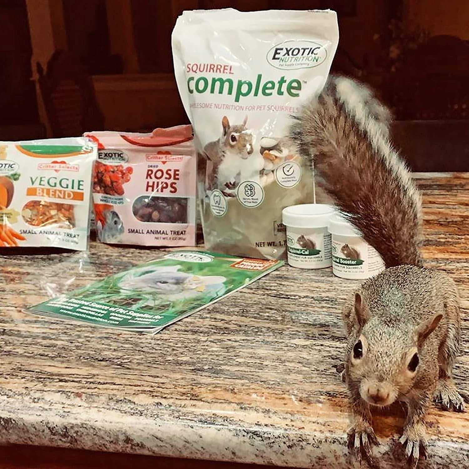 Squirrel Food Starter Package Includes Nutritionally Complete Diet - Nail Gallerys