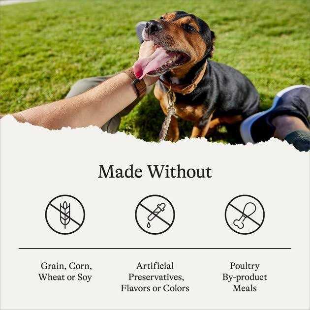 American Journey Limited Ingredient Grain-Free u0026 Sweet Potato Recipe Dry Dog Food - Nail Gallerys