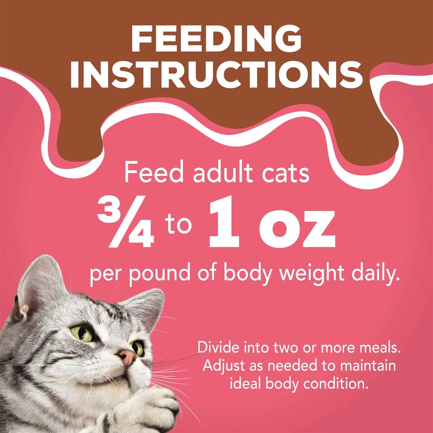 Purina Friskies Extra Gravy Pate Wet Cat Food Gravy - Nail Gallerys