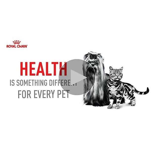 Royal Canin Hairball Care Thin Slices in Gravy Cat Food - Nail Gallerys