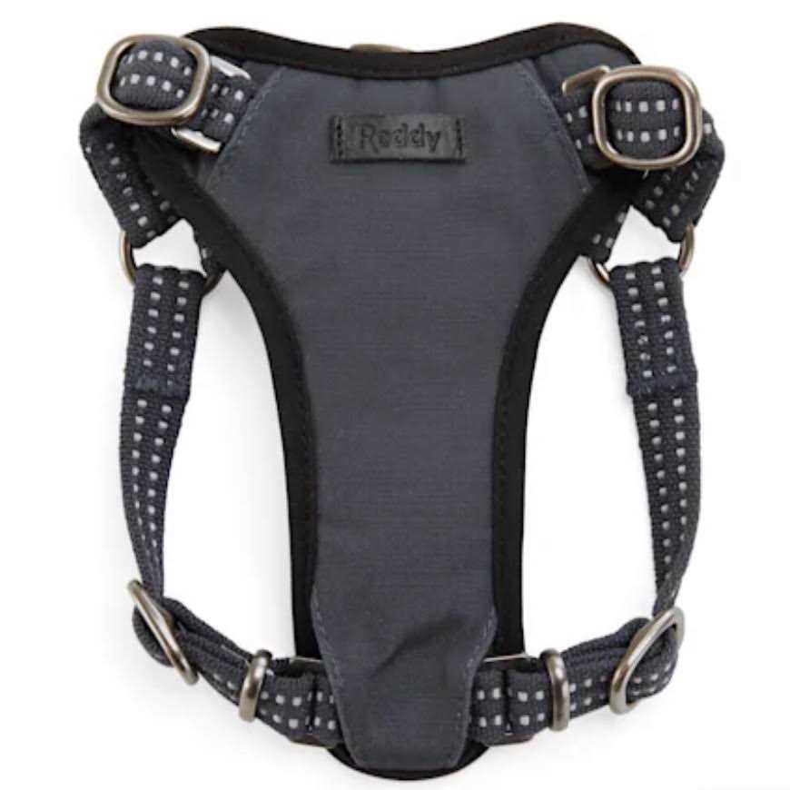 Reddy Small Dog Harness - Nail Gallerys