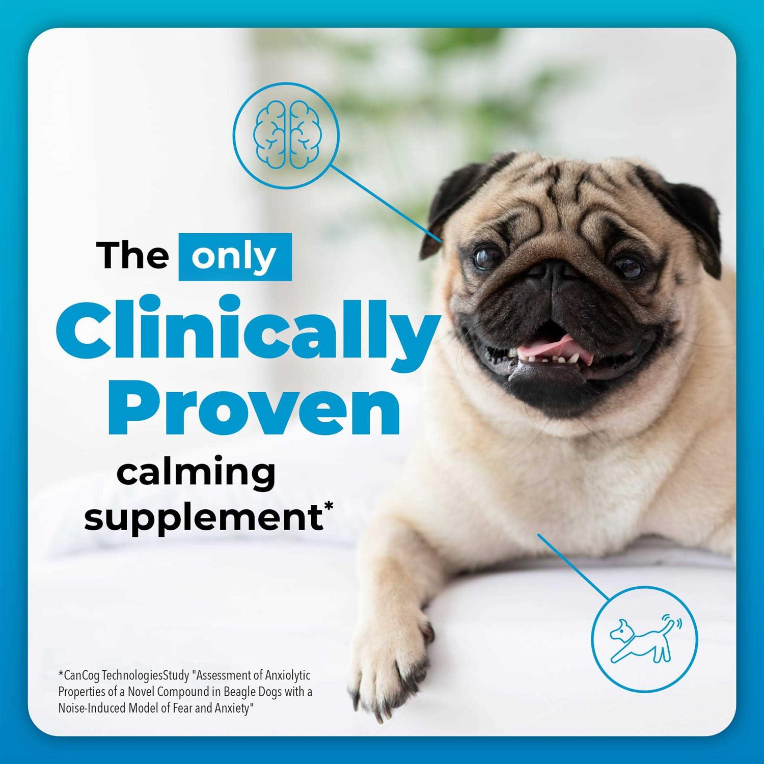 VetriScience Composure Calming Supplement for Dogs - Nail Gallerys