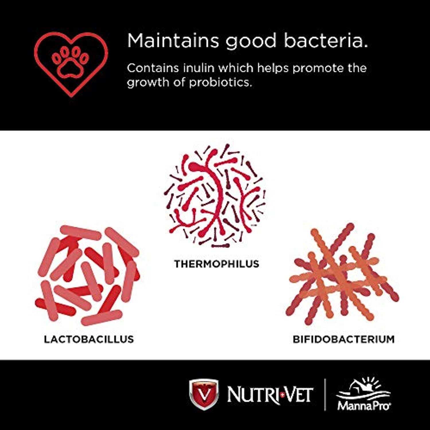 Nutri-Vet Probiotics for Dogs - Nail Gallerys