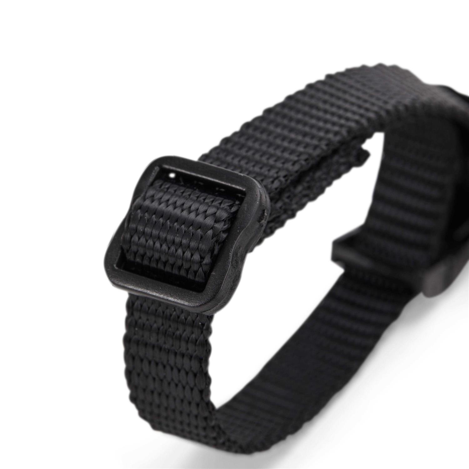 EveryYay Assorted Ferret Harness & Lead - Nail Gallerys