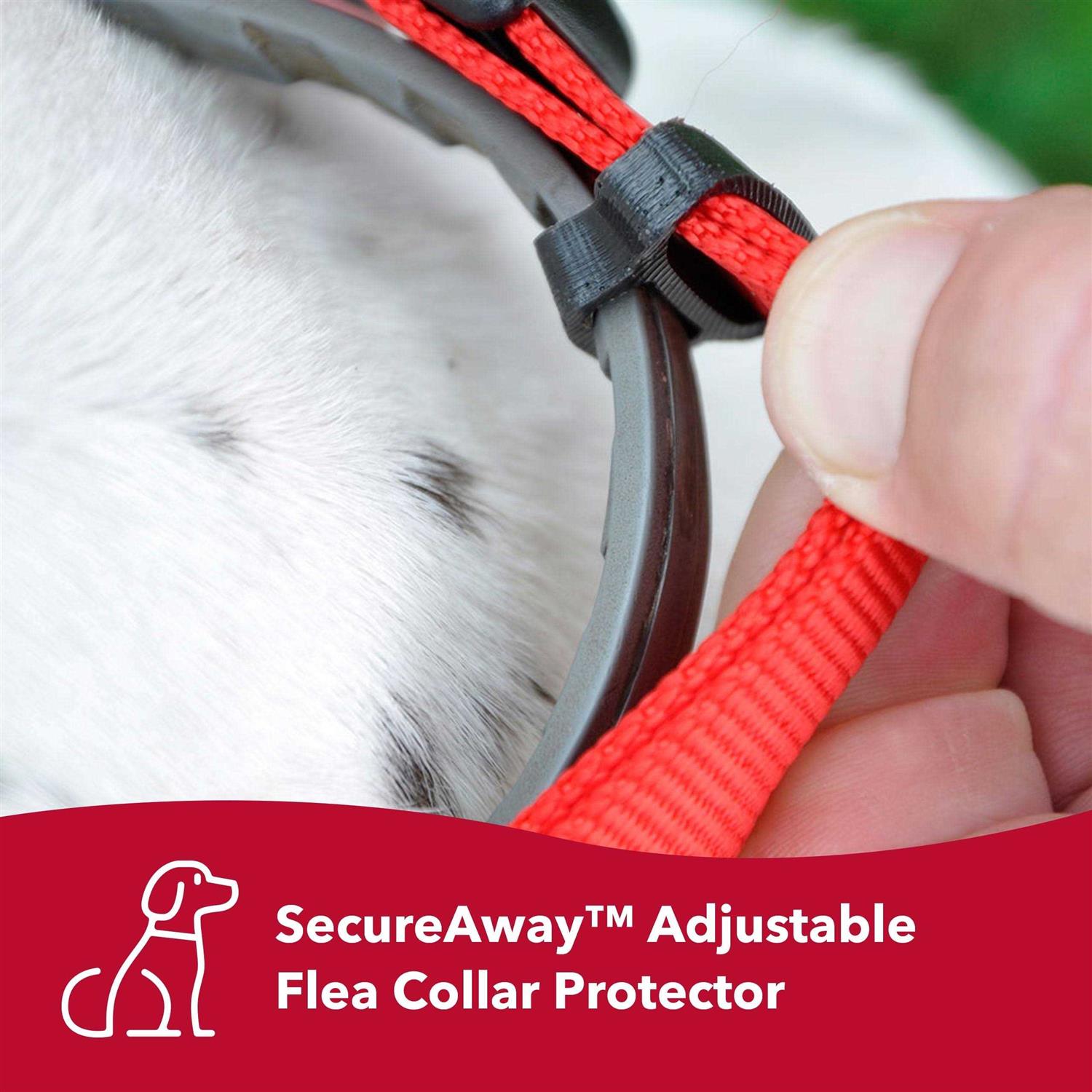 Coastal Hideaway Flea Collar Protector - Nail Gallerys