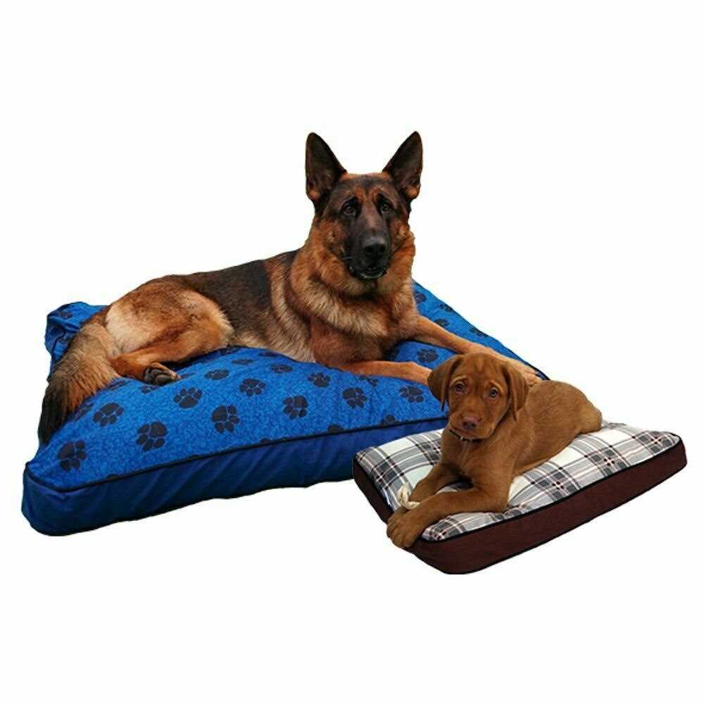 MyPillow Dog Bed - Nail Gallerys
