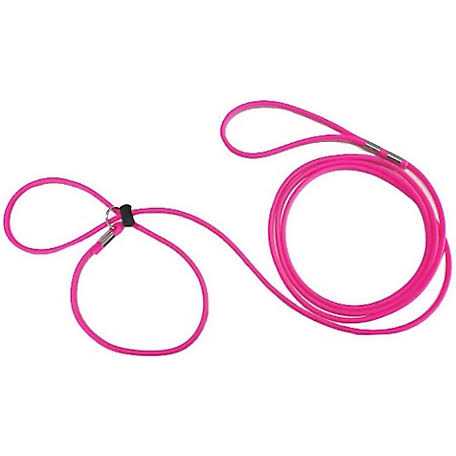 Piggy Poo and Crew Adjustable Mini Pig Harness and Leash - Nail Gallerys