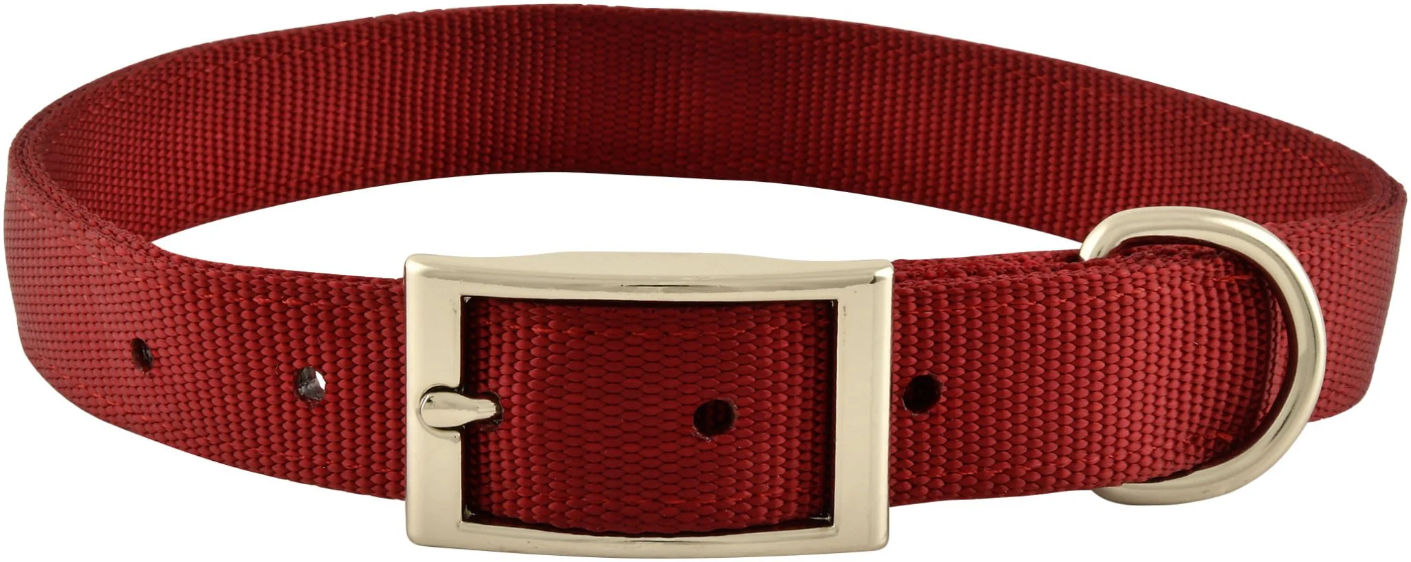 Solid Web Nylon Dog Collar, 1