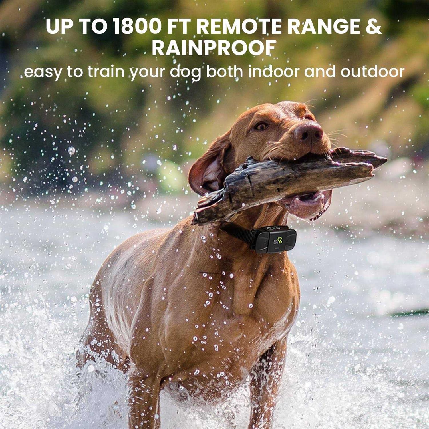 Dog CARE Dog Training Collar Shock Collar with Beep Vibration - Nail Gallerys