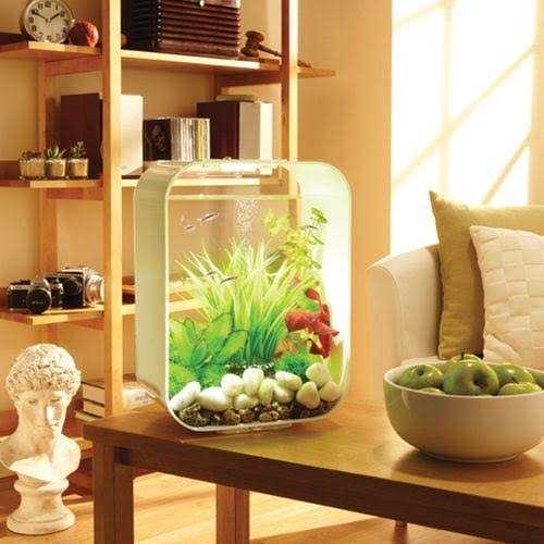biOrb LIFE 15 Aquarium with Standard Light - Nail Gallerys