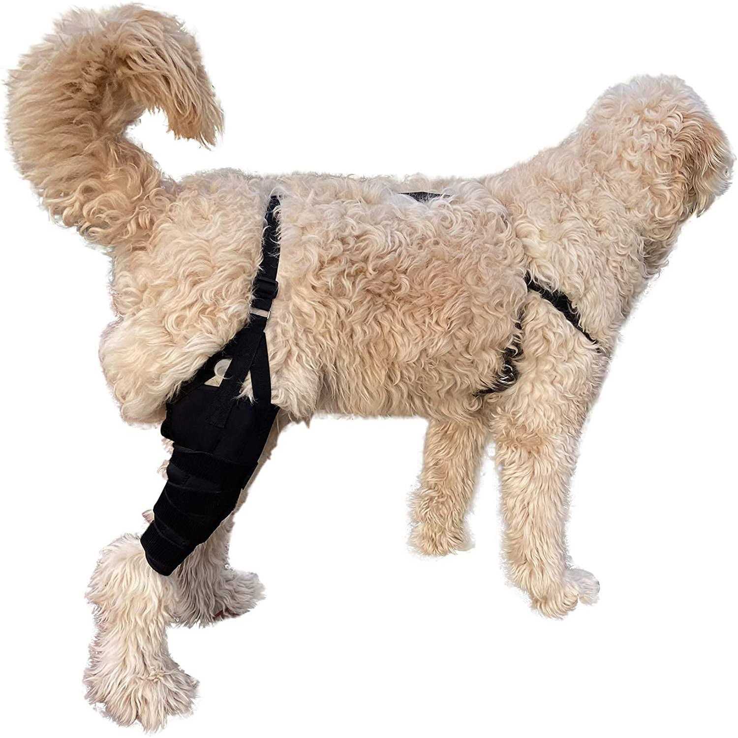 Labra Dog Canine K9 Knee Stifle Brace Wrap Metal Hinged Flexible Support Treat ACL CCL Luxating Patella Cruciate Ligament Sprain Strain Tear Injuries - Nail Gallerys