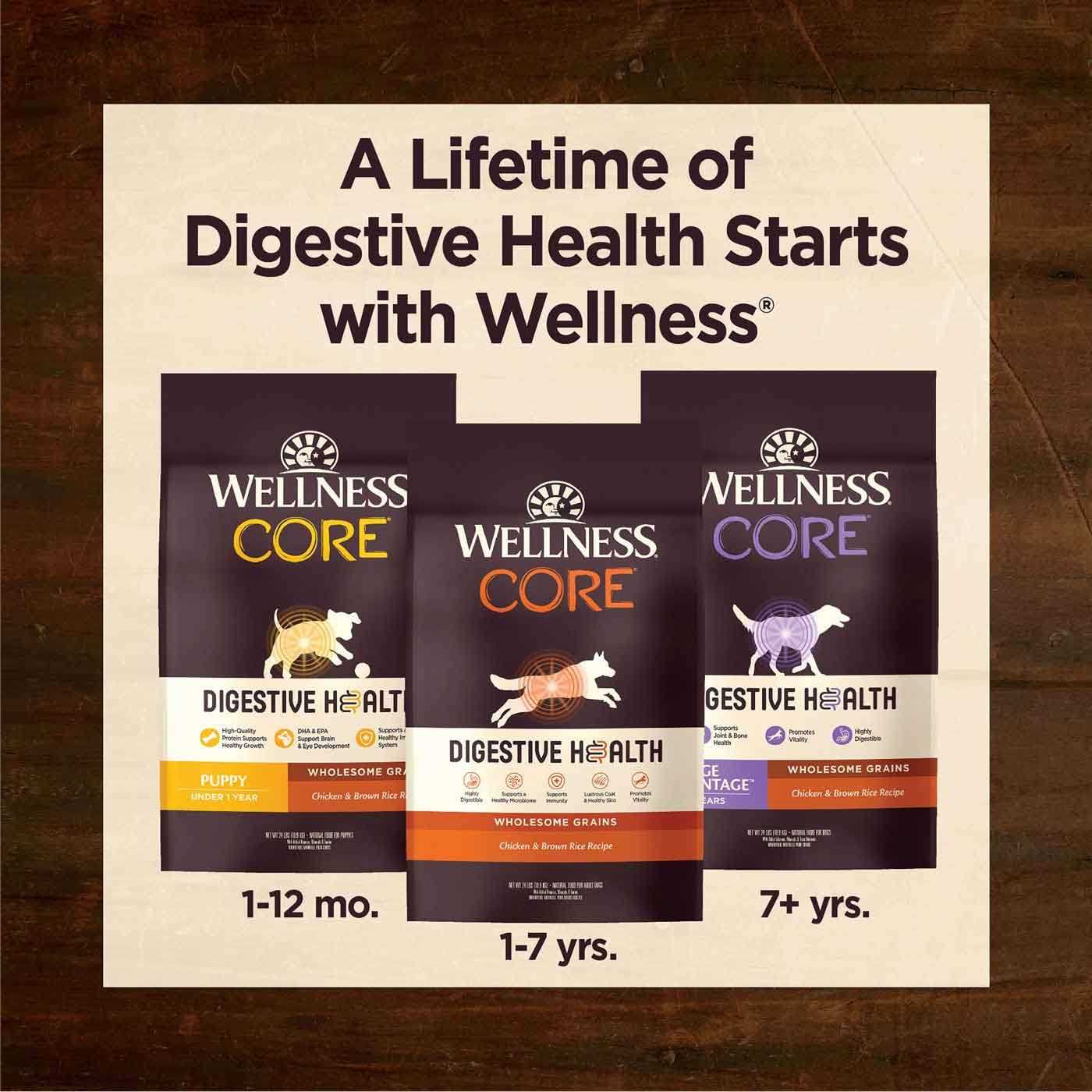 Wellness Core Digestive Health Senior Dry Dog Food - Nail Gallerys