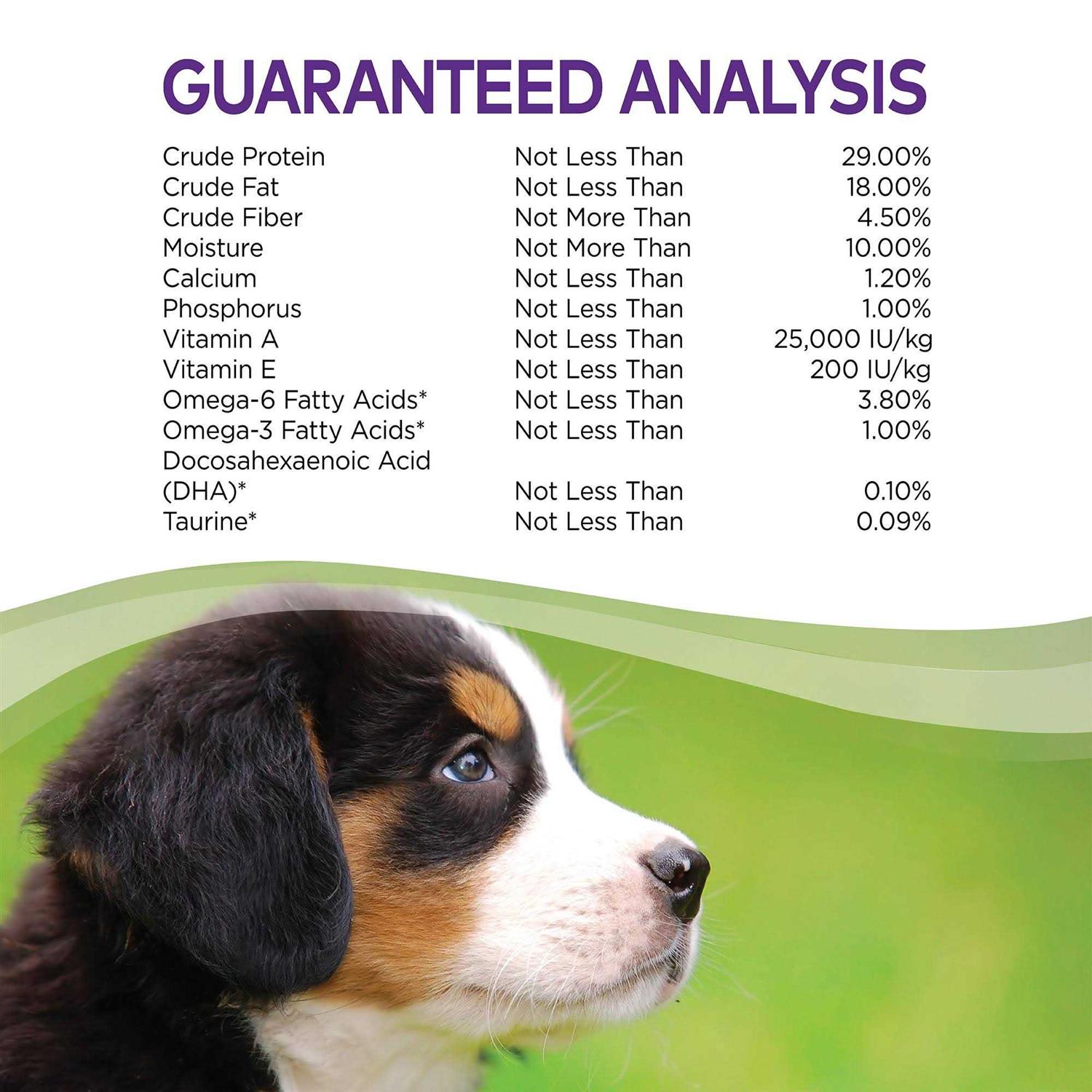 Wellness Complete Health Puppy Food Chicken - Nail Gallerys