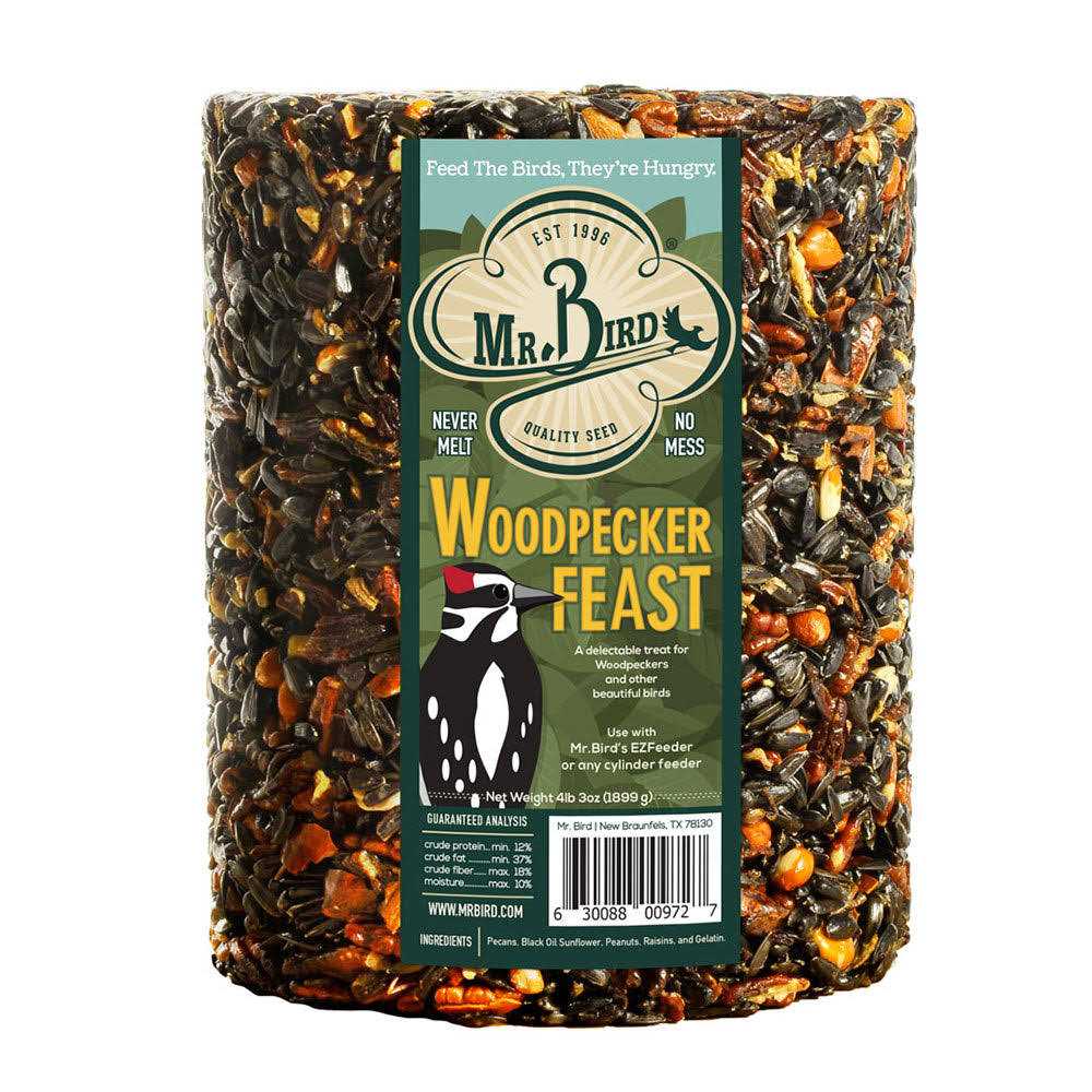 Mr. Bird Woodpecker Feast Cylinder - Nail Gallerys