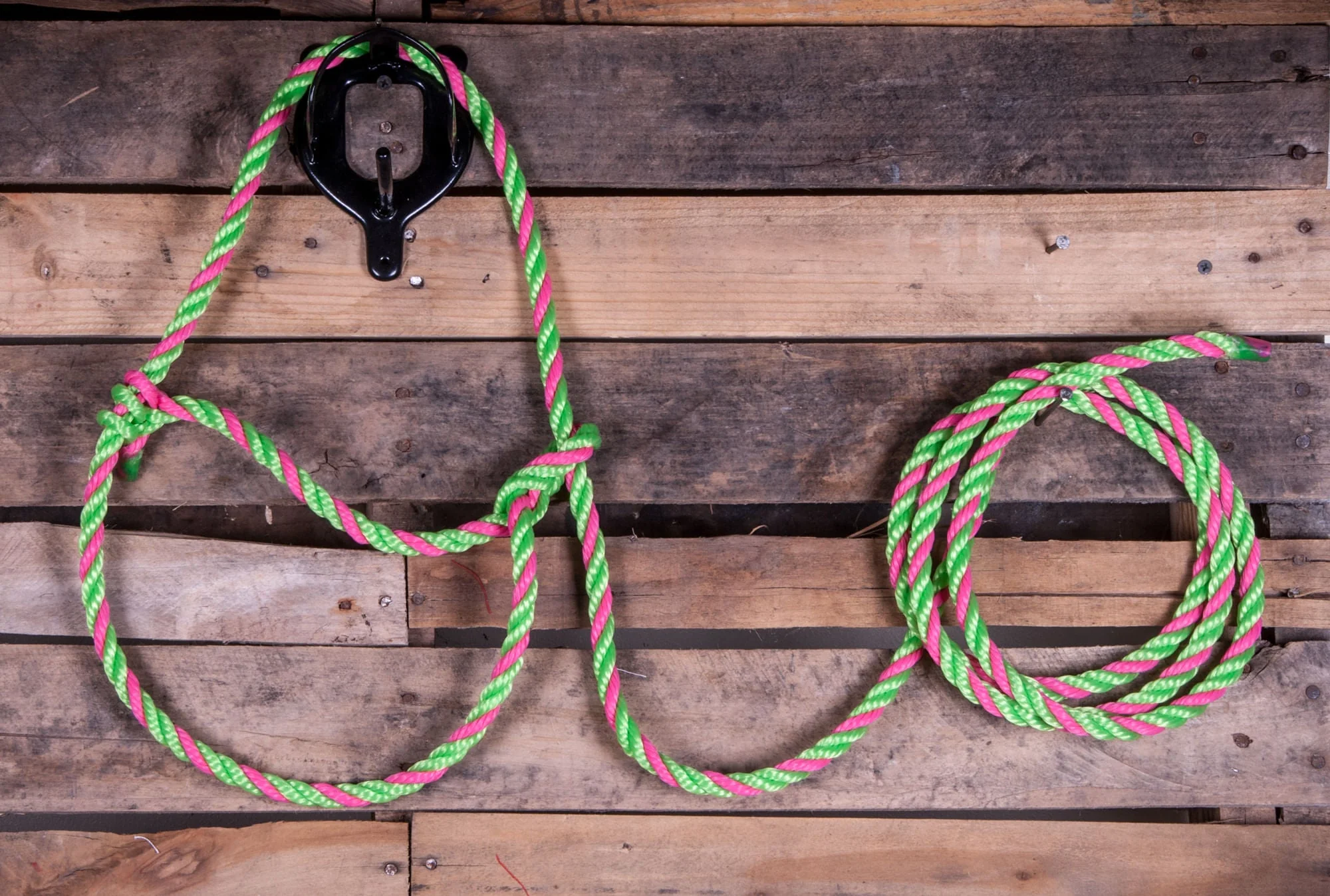 Troyer's Poly Cow Halter - Nail Gallerys