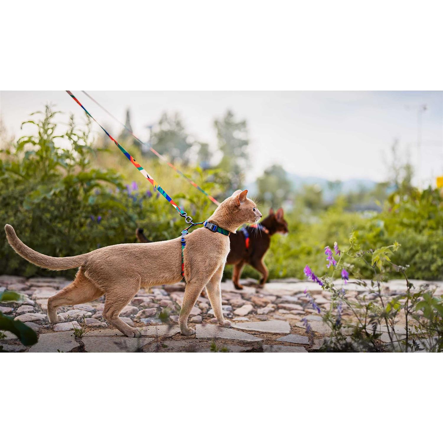 pidan Cat Harness and Leash Set Cats Escape Proof Adjustable Kitten Harness for Large Small Cats - Nail Gallerys