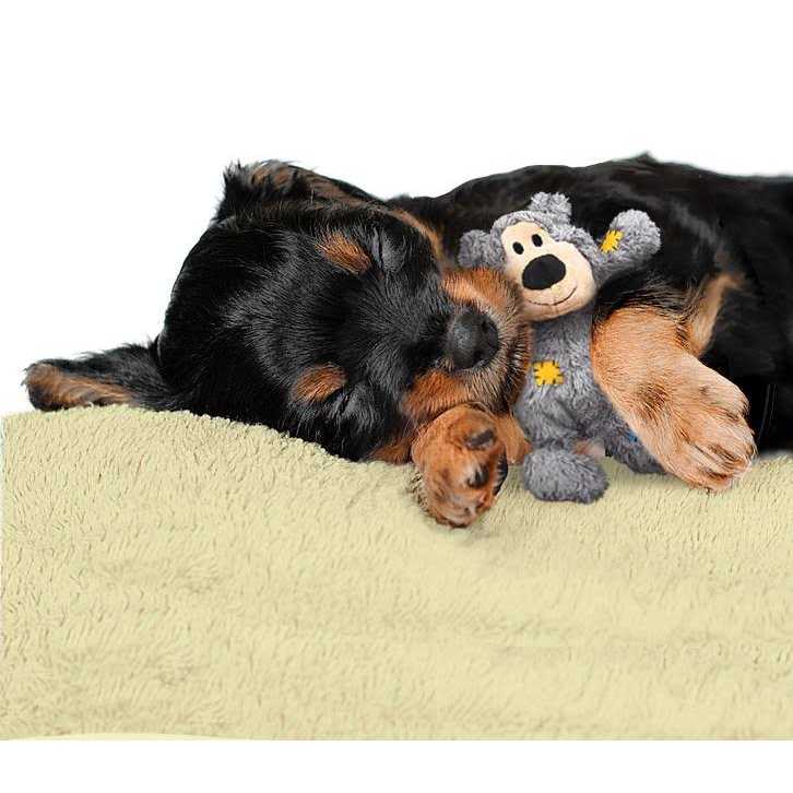 Kong Wild Knots Bear Dog Toy - Nail Gallerys