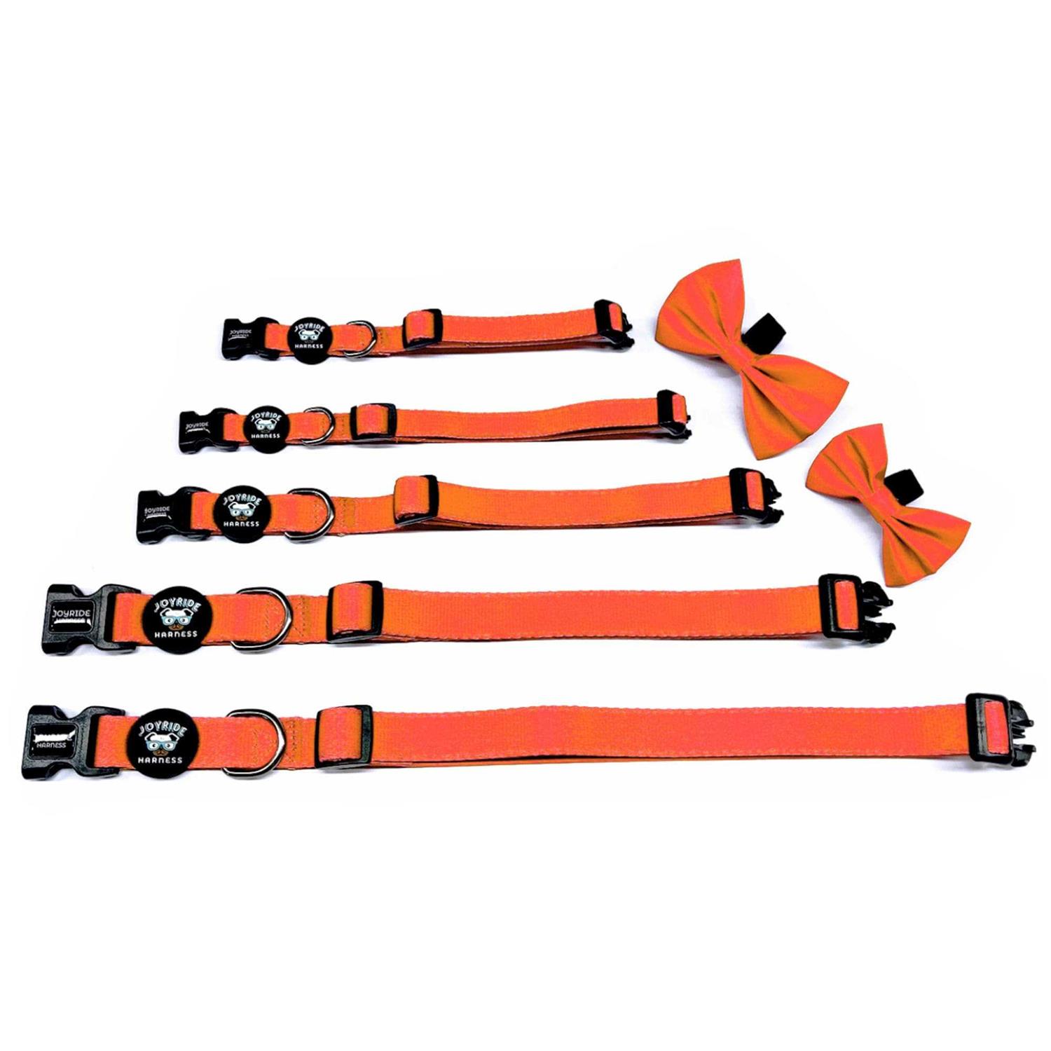 Joyride Harness Dog Collar + Removable Bow Tie - Nail Gallerys