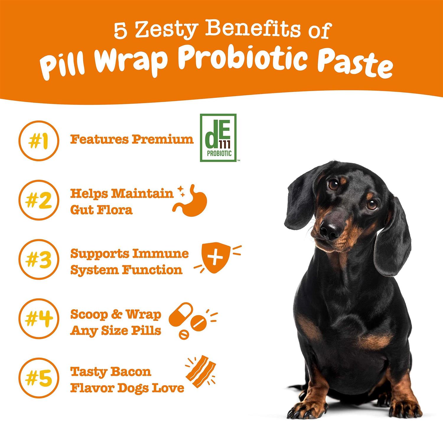 Zesty Paws Pill Wrap Probiotic Paste for Dogs - Nail Gallerys