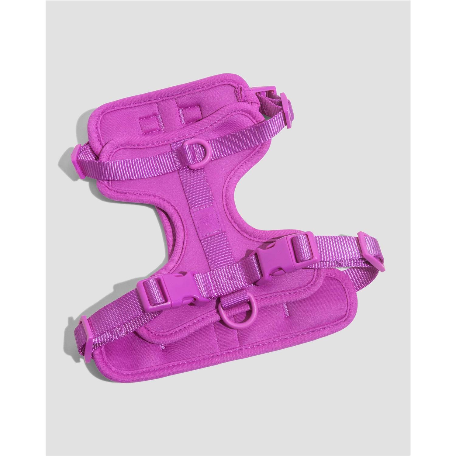 Wild One Dog Harness - Nail Gallerys