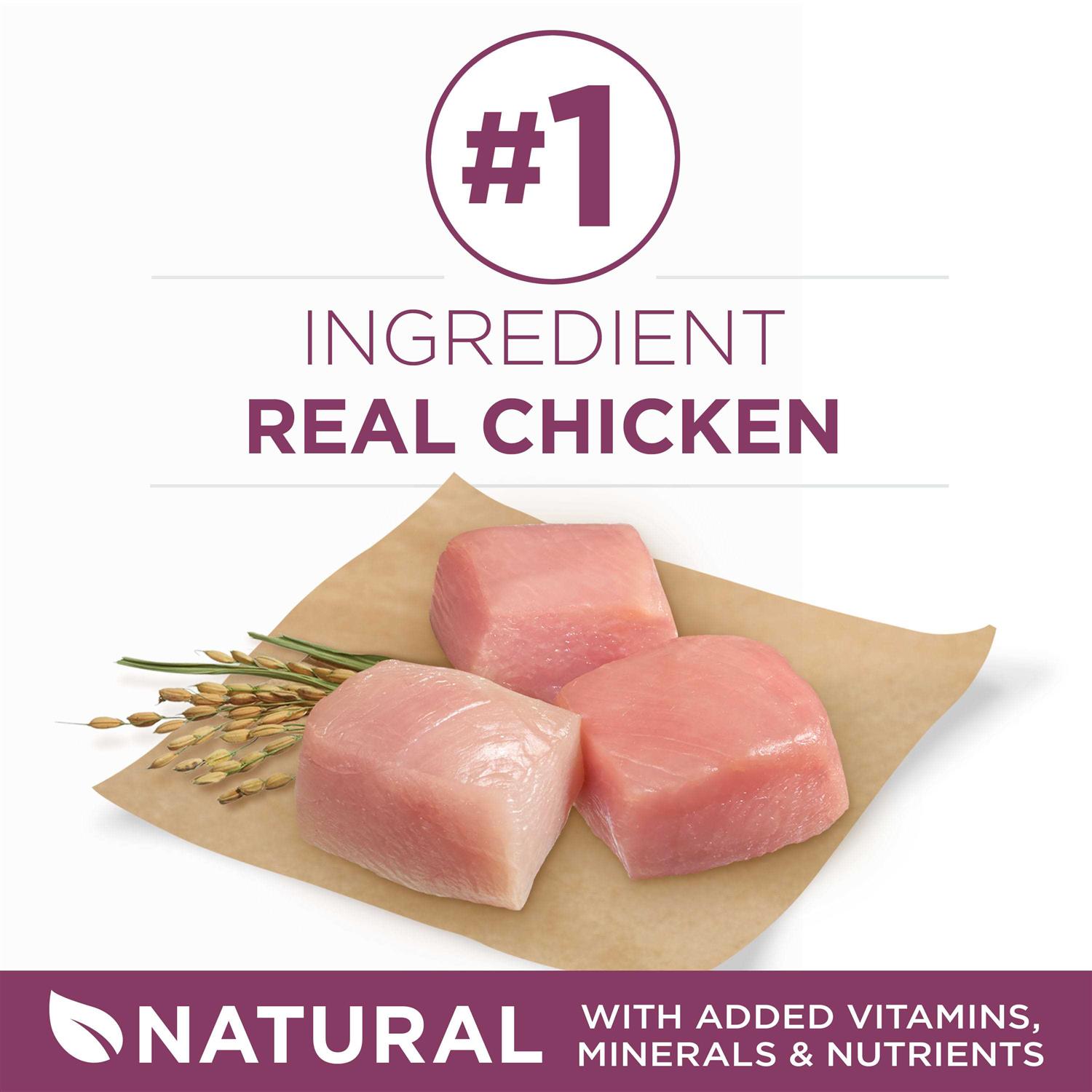 Purina ONE Healthy Puppy Formula Dry Food - Nail Gallerys