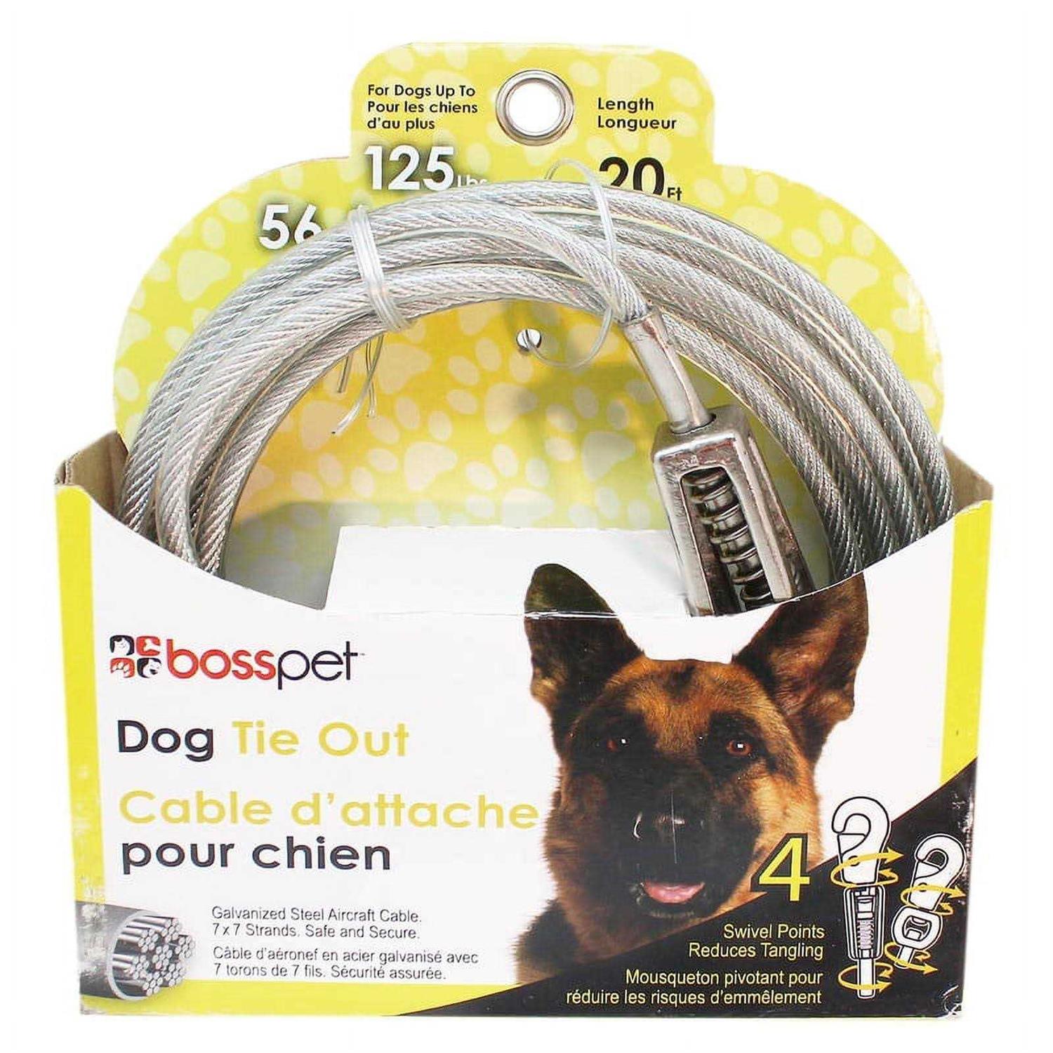 Boss Pet Q5720SPG99 PDQ Tie-Out with Spring - Nail Gallerys