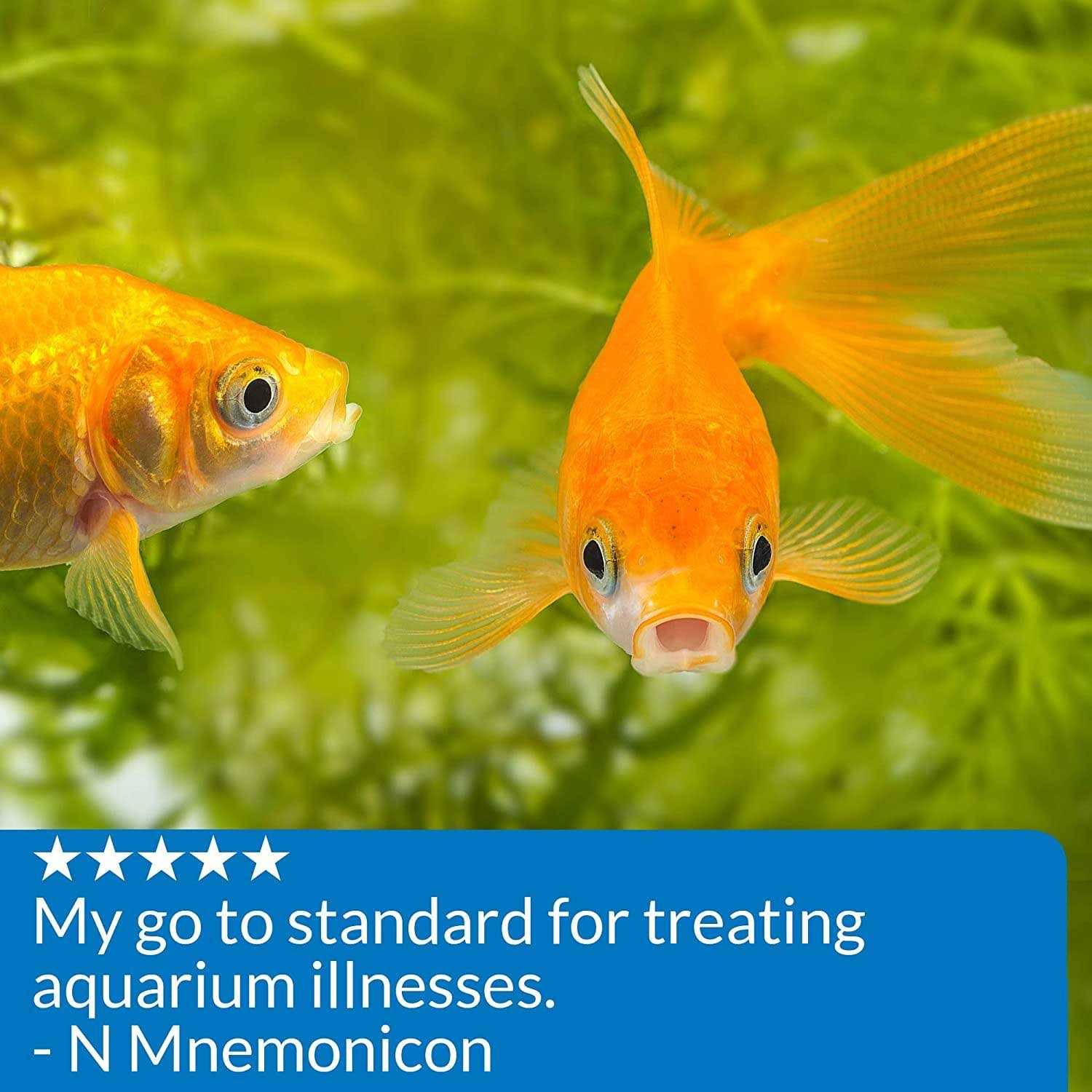 API Pimafix Antifungal Fish Remedy - Nail Gallerys