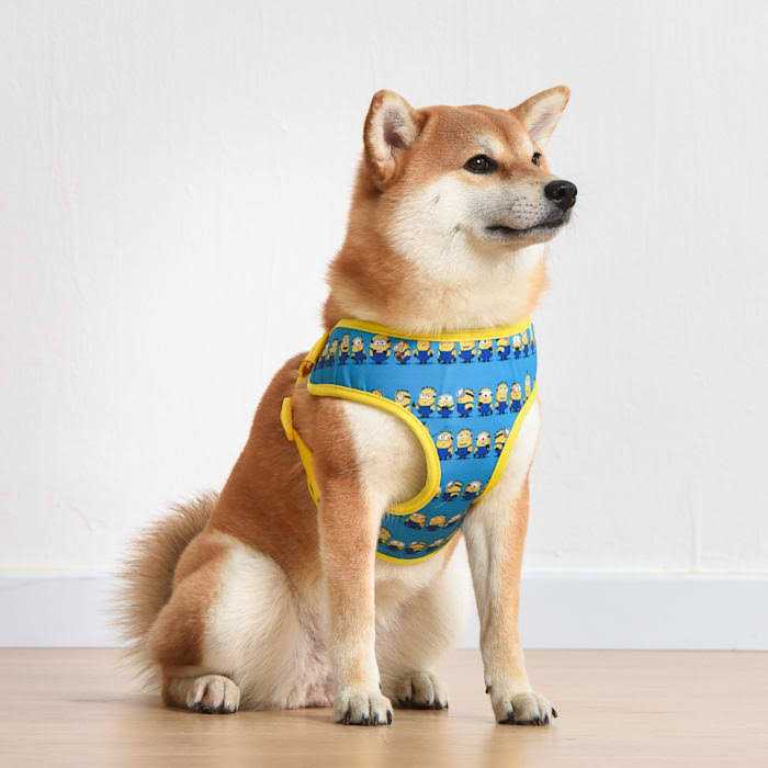 Minions Dog Harness Blue Minions in a Row Comfortable Mesh No-Pull Dog Harness - Nail Gallerys