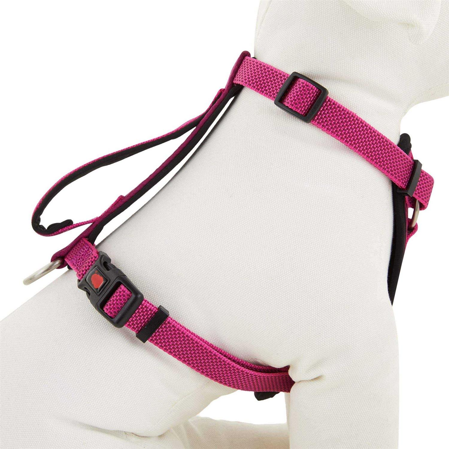 Kong Comfort Padded Chest Plate Dog Harness - Nail Gallerys