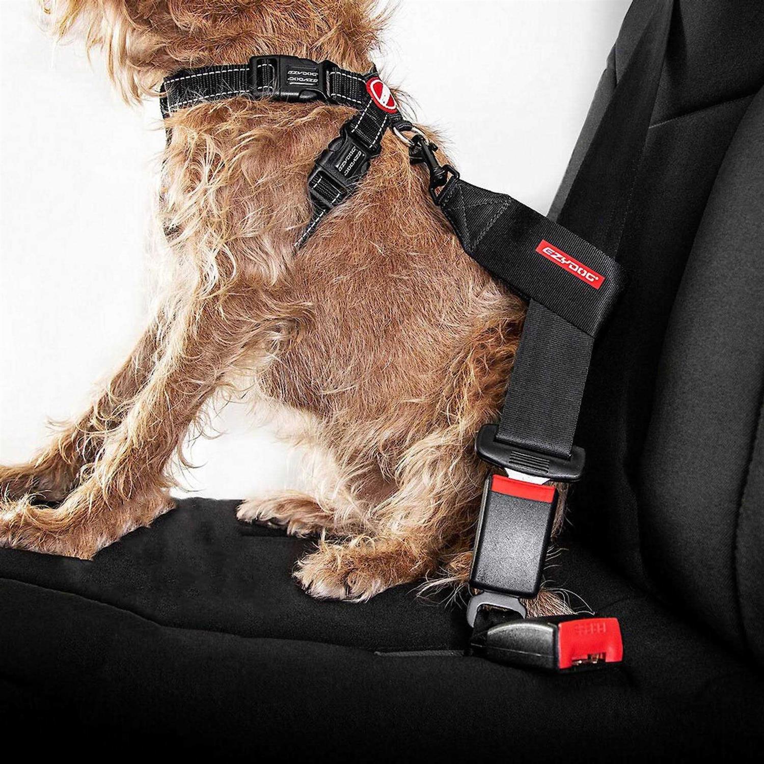 EzyDog Seat Belt Restraint - Nail Gallerys