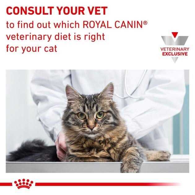 Royal Canin Veterinary Diet Feline Calm Dry Food - Nail Gallerys