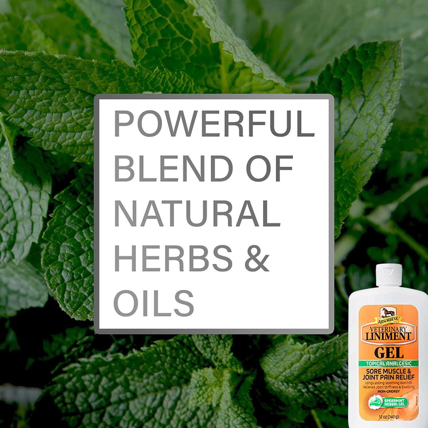 Absorbine Veterinary Liniment Gel - Nail Gallerys