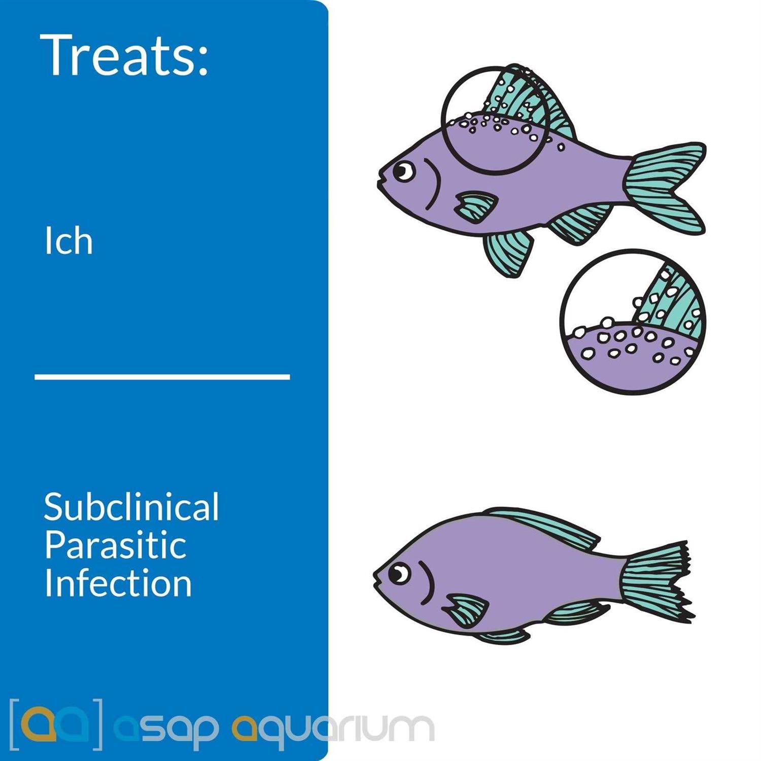 API Liquid Super Ick Cure - Nail Gallerys