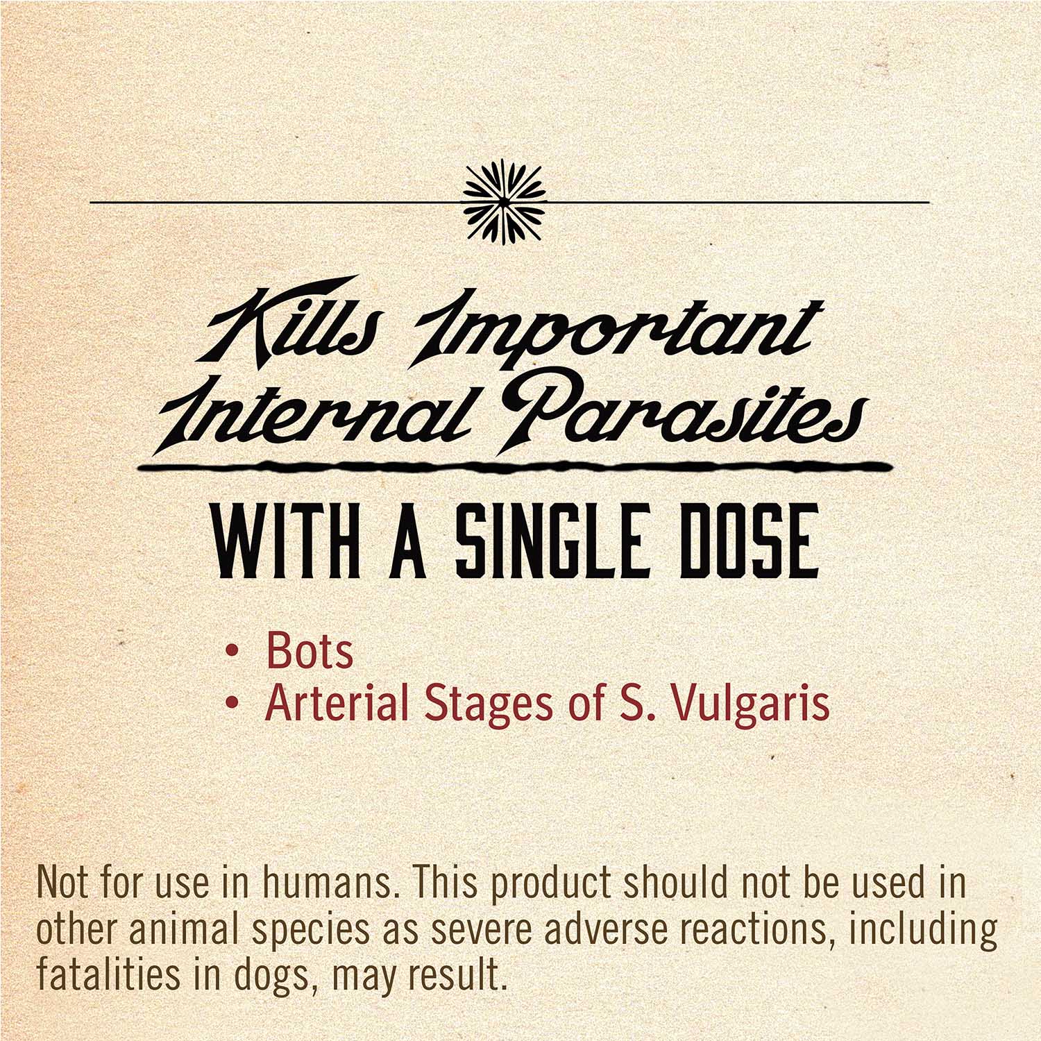 Zimecterin Horse Dewormer Paste, 1-dose - Nail Gallerys