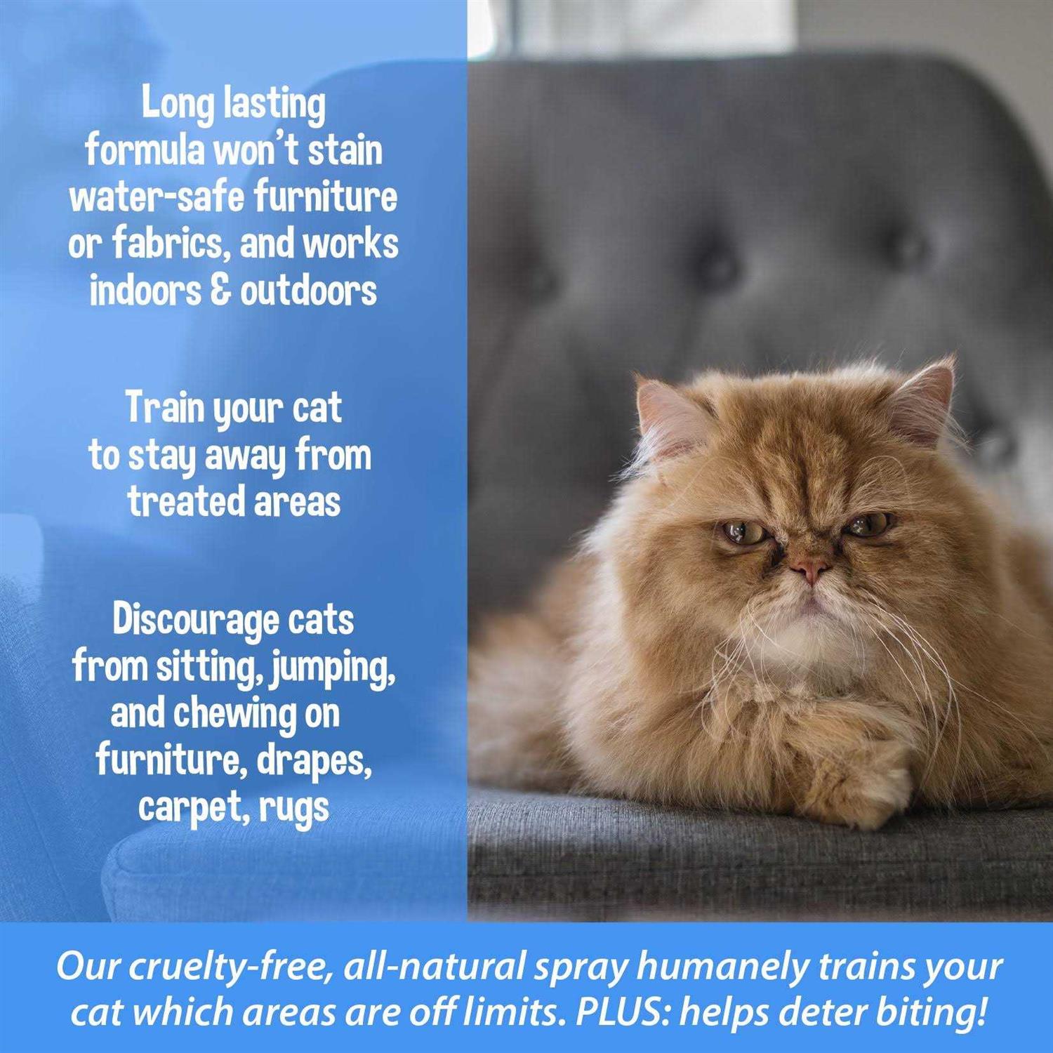 Bodhi Dog 3-in-1 Cat & Kitten Training Aid Cat Deterrent Spray for Indoor and Outdoor Use - Nail Gallerys