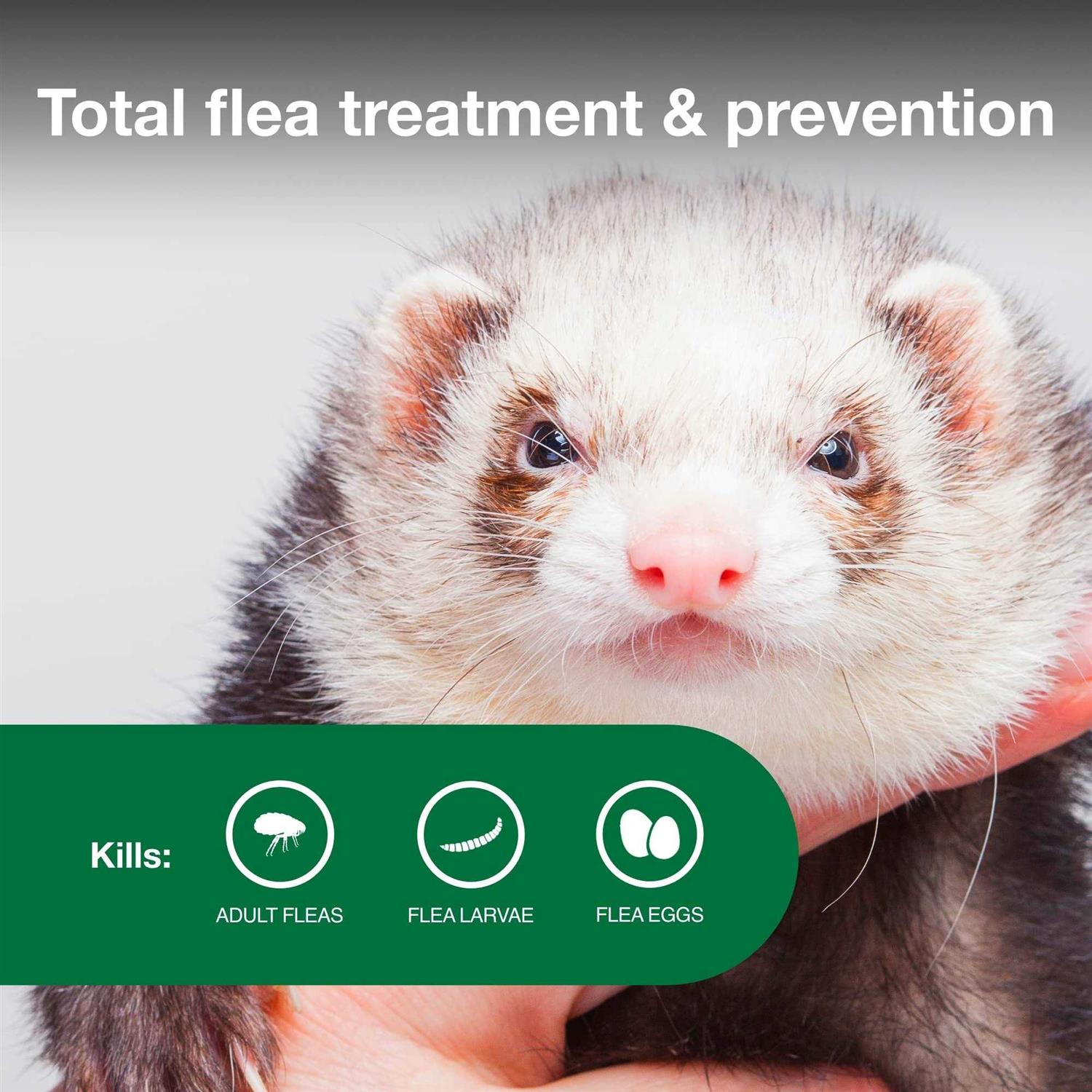 Advantage II Flea Treatment for Ferrets - Nail Gallerys