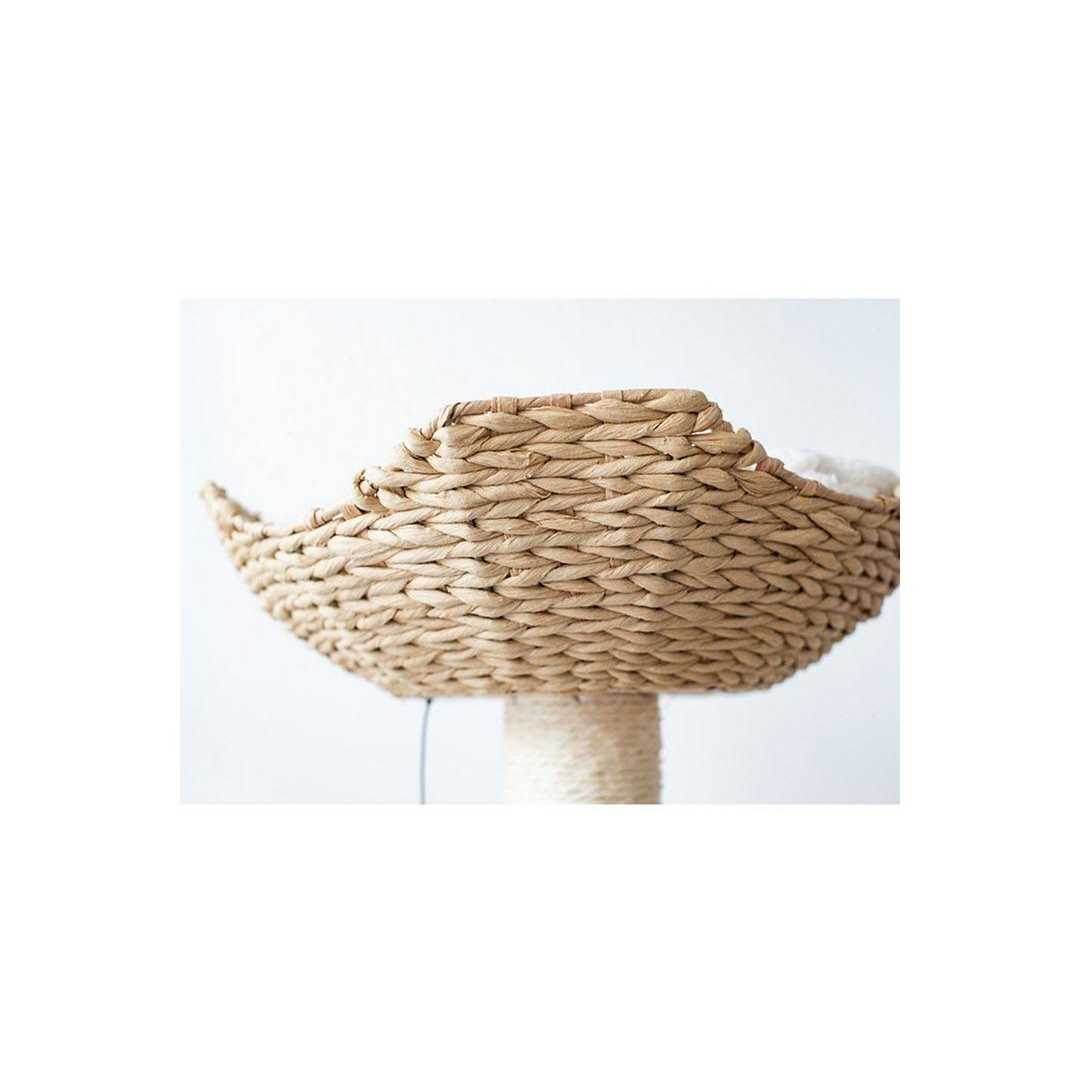 PetPals Walk Up - Nail Gallerys