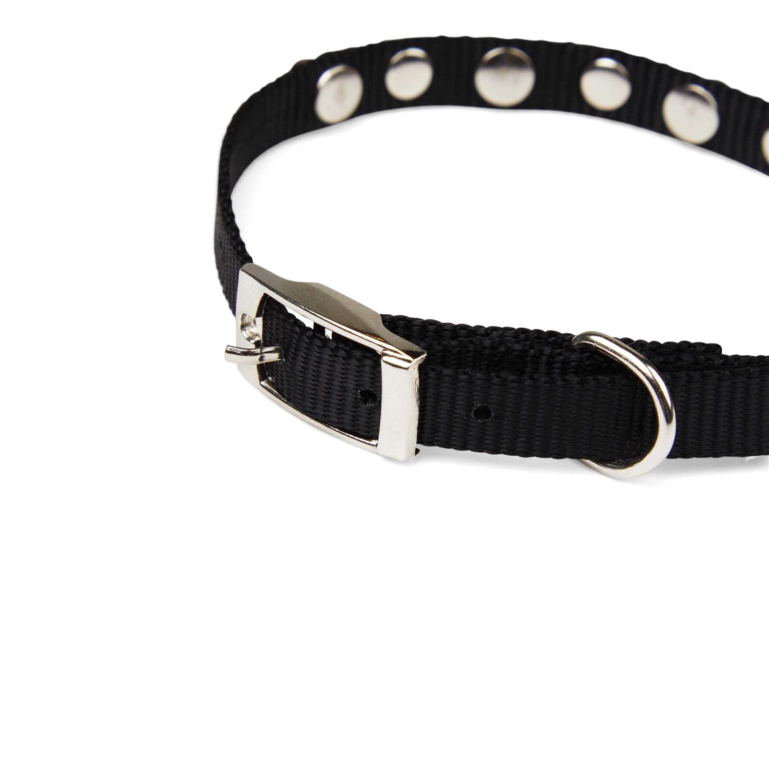 YOULY Black Bling Dog Collar - Nail Gallerys