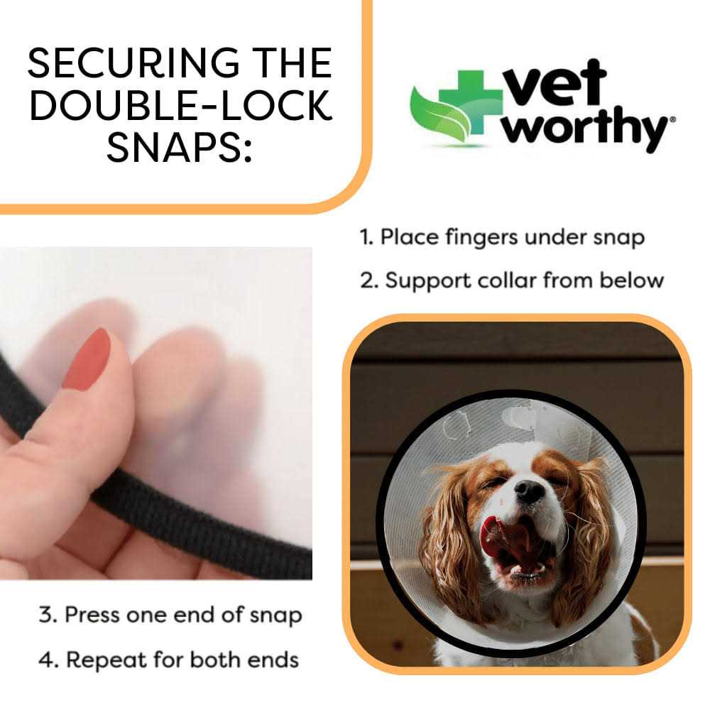 Vet Worthy Protective Cone Collar - Nail Gallerys