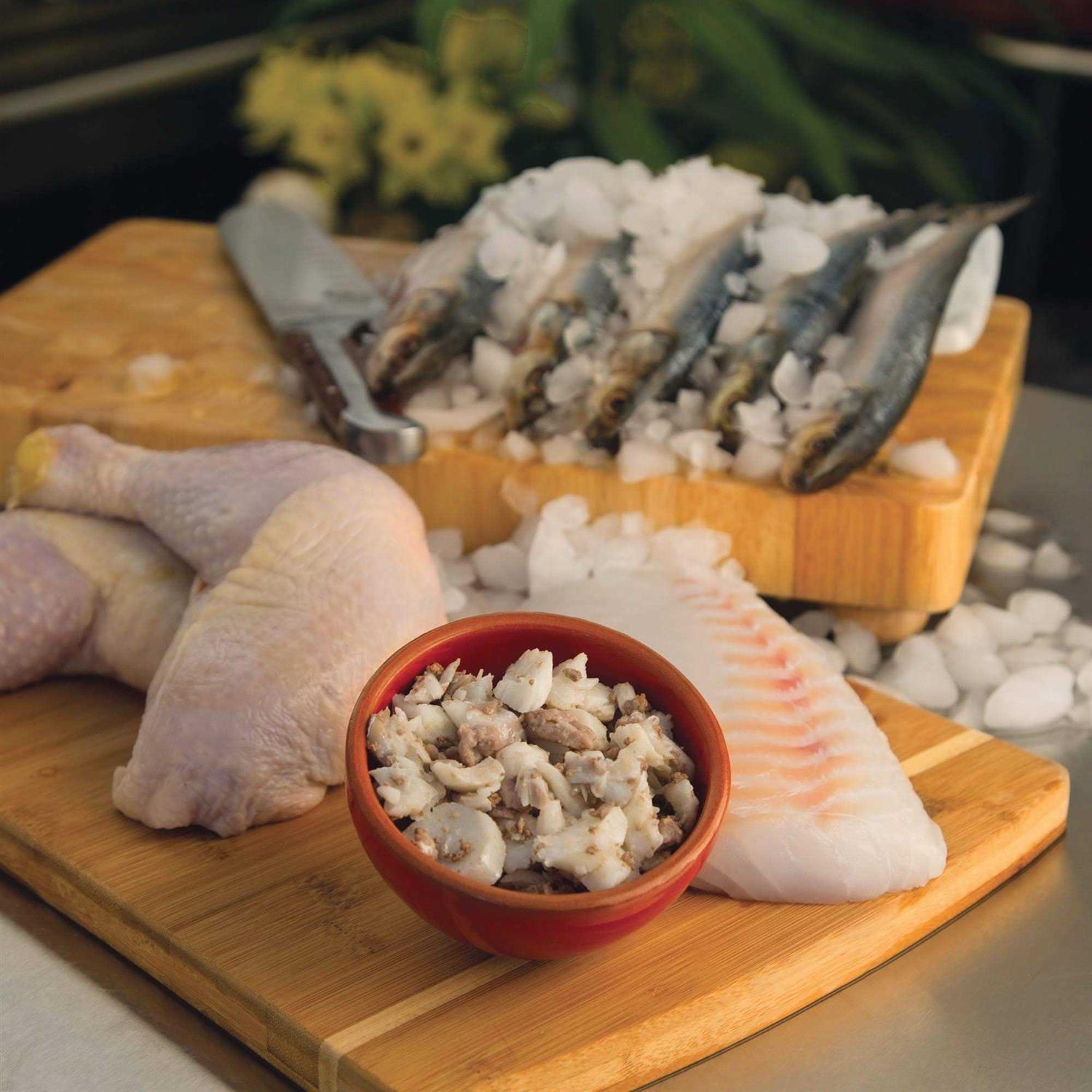 JustFoodForDogs Daily Diets Fish & Chicken Frozen Cat Food - Nail Gallerys