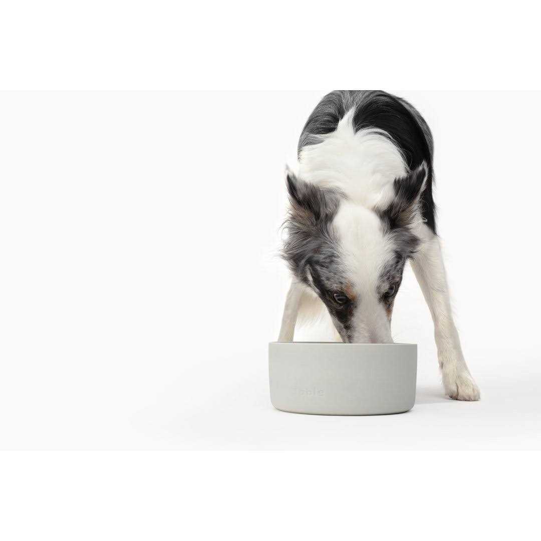 Signature Bowl Fable Pets - Nail Gallerys