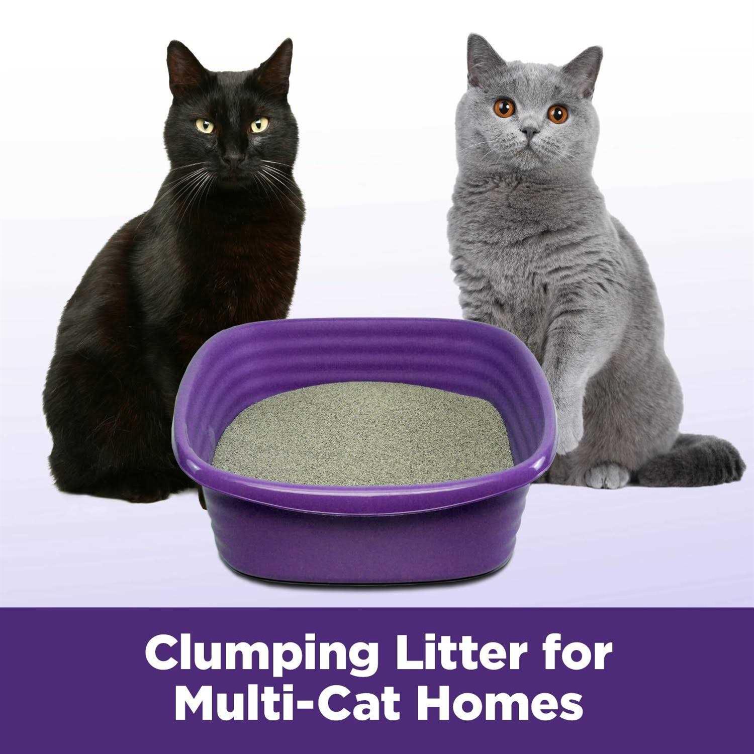 Arm & Hammer Slide Easy Clean Up Multi-Cat Clumping Litter - Nail Gallerys