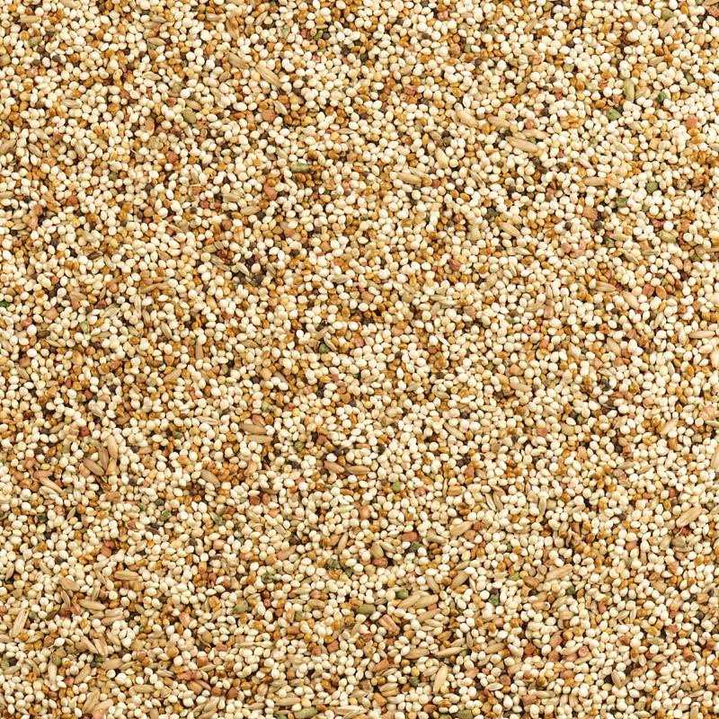 Wild Harvest Daily Blend Nutrition Diet for Parakeet, Canary and Finch 10 Pounds - Nail Gallerys