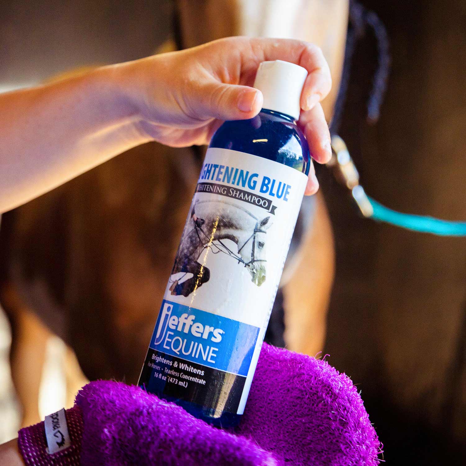 Equine Brightening Blue Whitening Horse Shampoo - Nail Gallerys