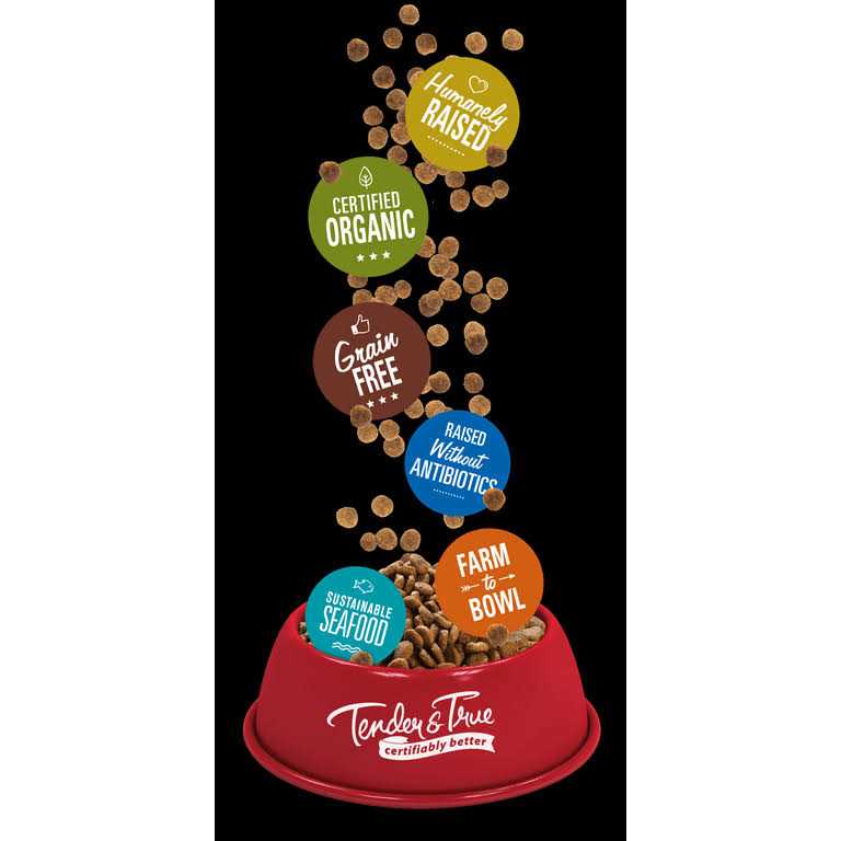 Tender & True Salmon & Sweet Potato Recipe Dry Cat Food - Nail Gallerys