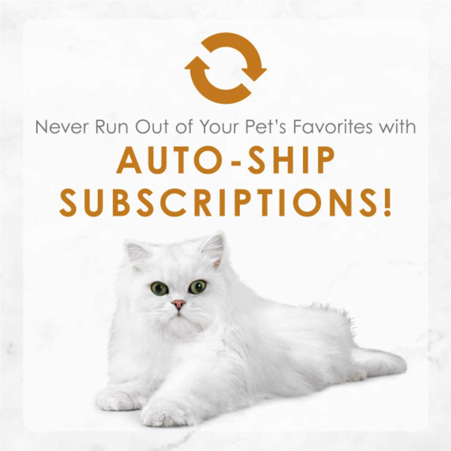 Fancy Feast Medleys Florentine Canned Cat Food - Nail Gallerys