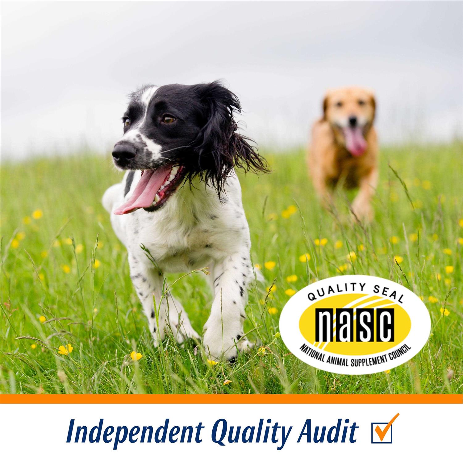 Pro Sense Glucosamine Joint Care - Nail Gallerys