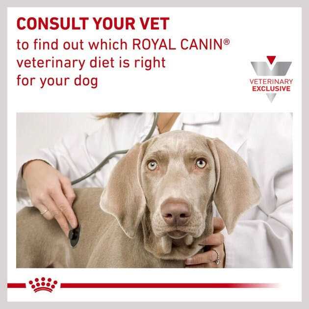 Royal Canin Veterinary Diet Adult Hydrolyzed Protein Loaf Canned Dog Food - Nail Gallerys